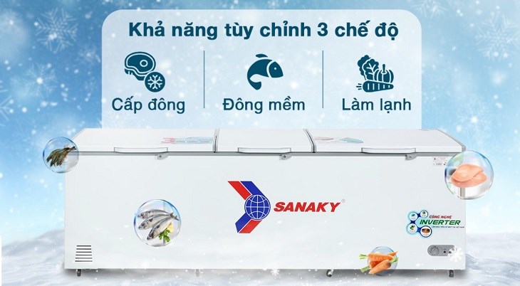Tủ đông Sanaky, Điện máy Hoàng Thái quận 12