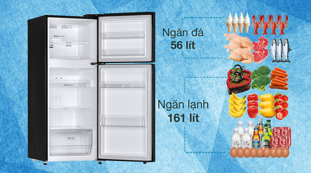 Tủ lạnh LG Inverter 217 lít GV-B212WB, Điện máy Hoàng Thái quận 12
