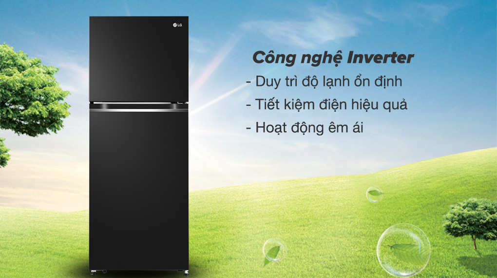 Tủ lạnh LG Inverter 217 lít GV-B212WB, Điện máy Hoàng Thái quận 12
