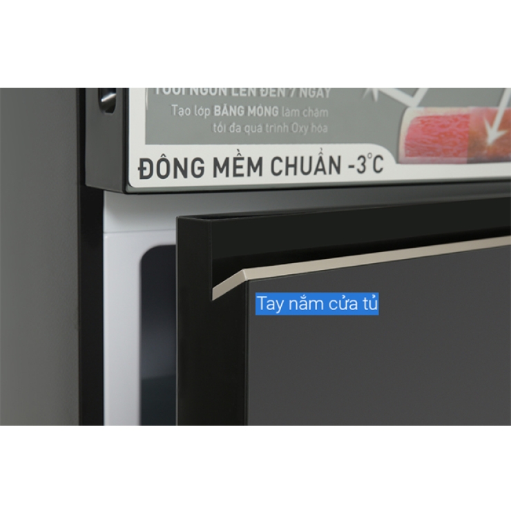 Tủ lạnh Panasonic 325 lít NR-BC361VGMV