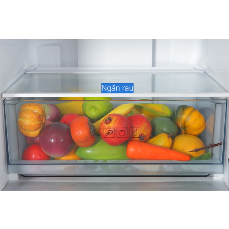 Tủ lạnh Panasonic 255 lít NR-BV281BGMV