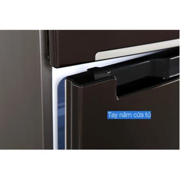 Tủ lạnh Samsung Inverter 236 lít RT22M4032BY/SV