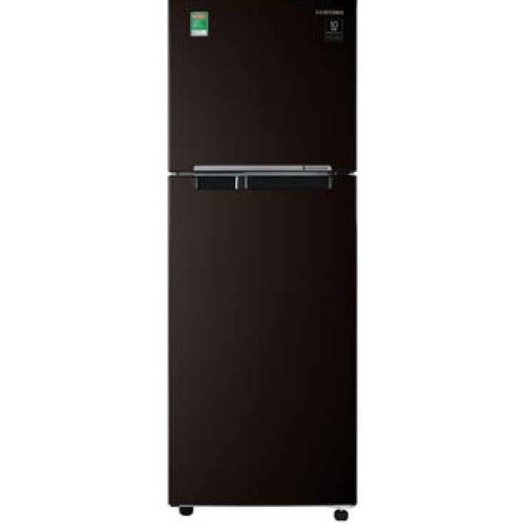 Tủ lạnh Samsung Inverter 236 lít RT22M4032BY/SV