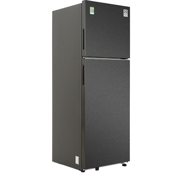 Tủ lạnh Samsung Inverter 305 lít RT31CG5424B1SV